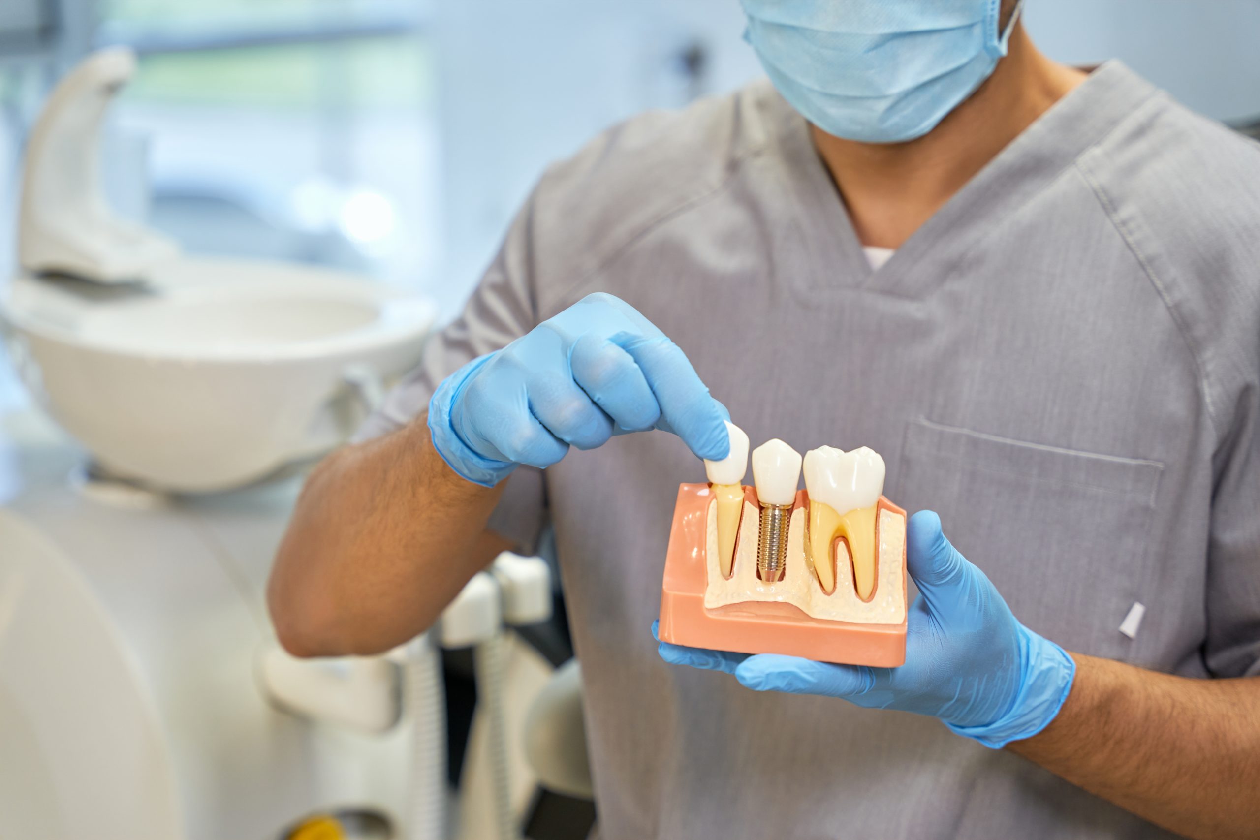 Skillful Dental Technician Showing Anatomy Of Dental Implant