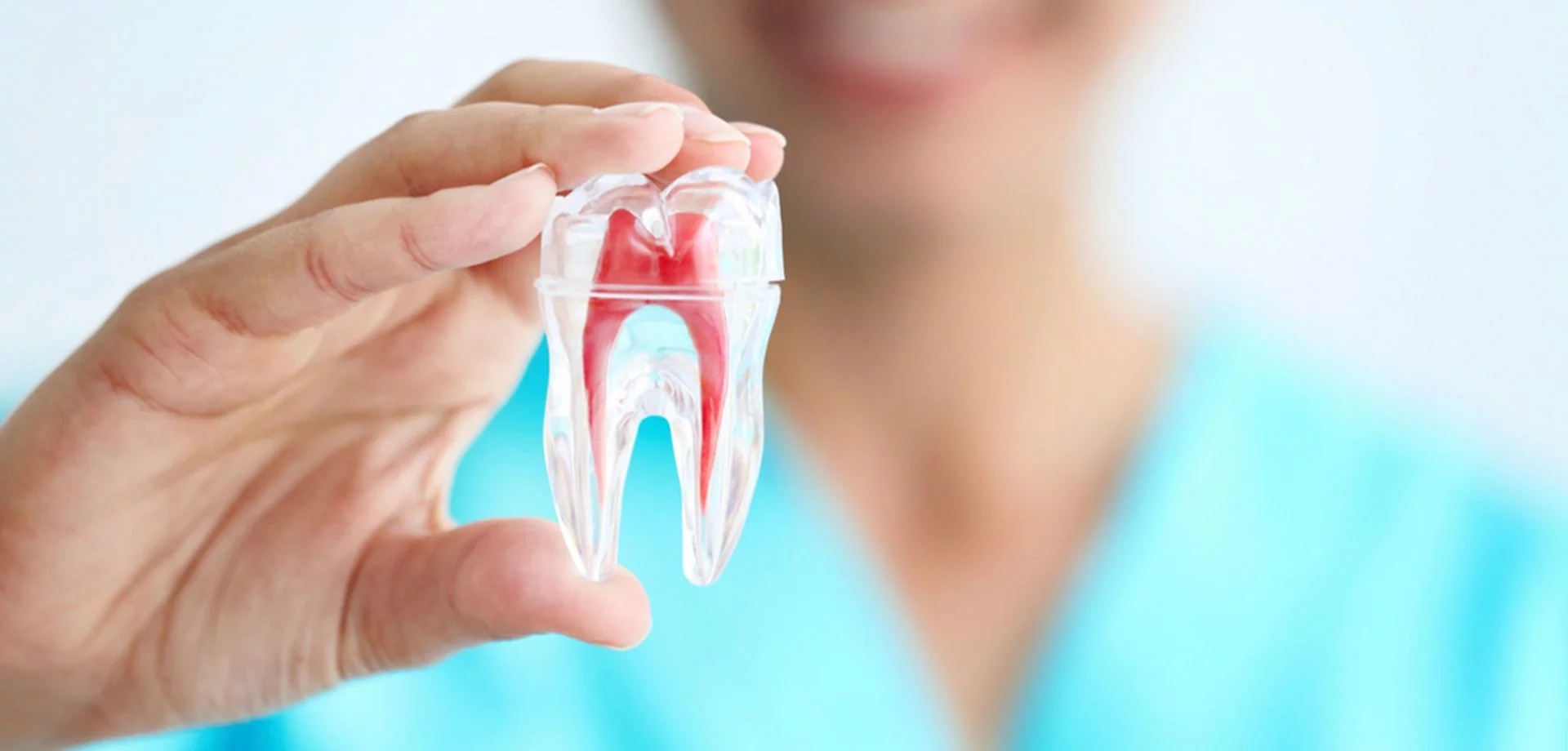 Root Canal P